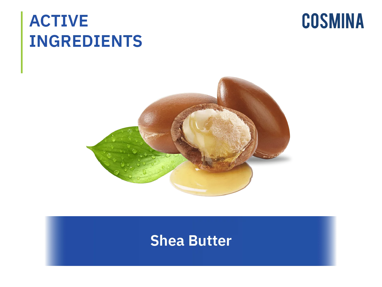 Shea Butter