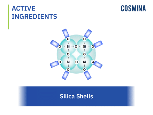 [:en-us]Silica Shells-01[:]