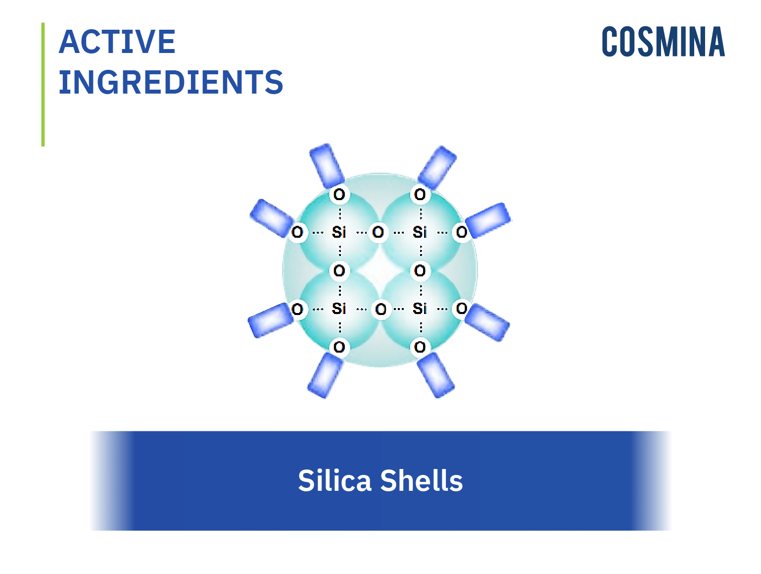 silica-shells-cosmina