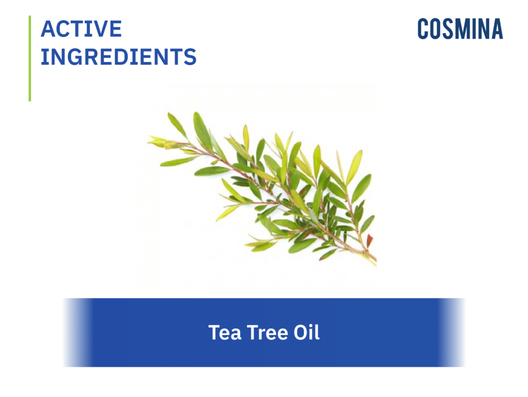 tea-tree-oil-cosmina