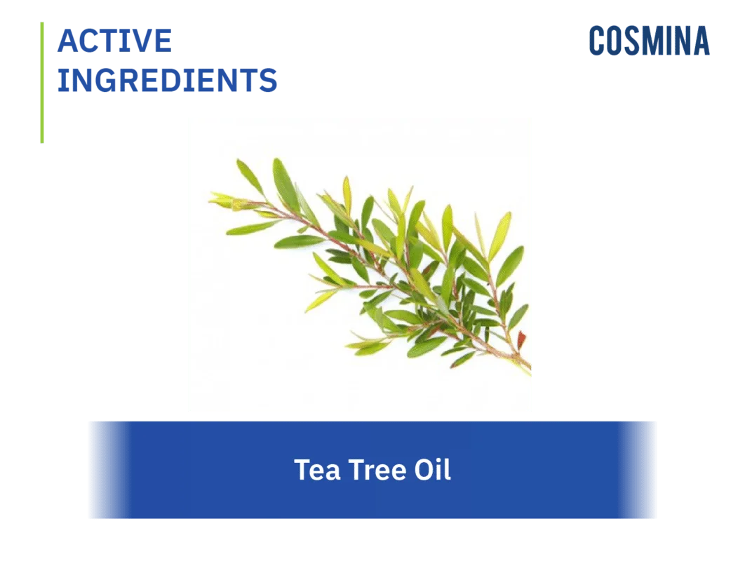 [:en-us]Tea Tree Oil-01[:]
