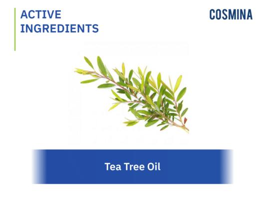 [:en-us]Tea Tree Oil-01[:]