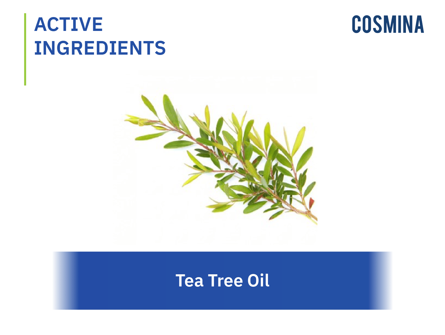 Tea Tree Oil Cosmina 5958