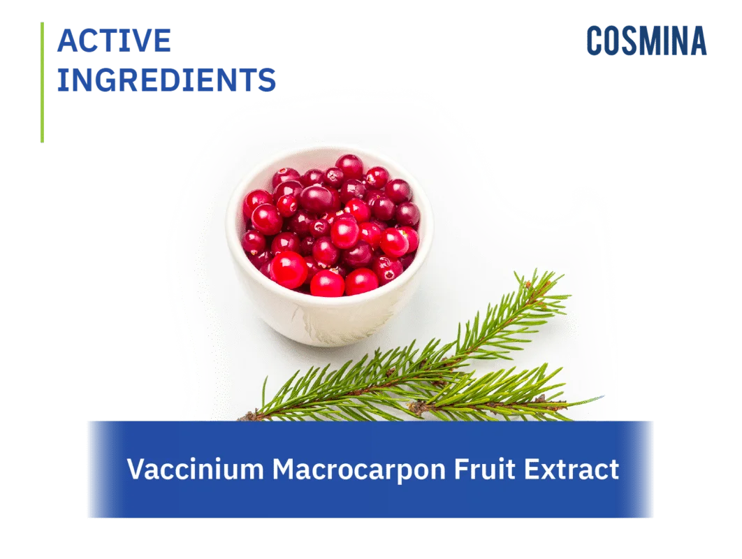 [:th]Vaccinium Macrocarpon Fruit Extract[:en-us]Vaccinium Macrocarpon Fruit Extract[:]