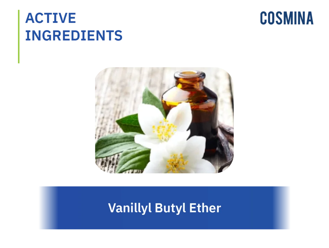 [:th]Vanillyl Butyl Ether[:]