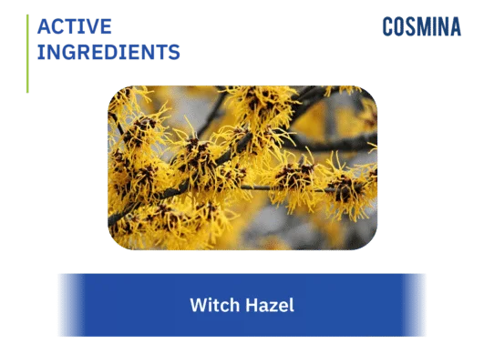 [:th]Witch Hazel[:]