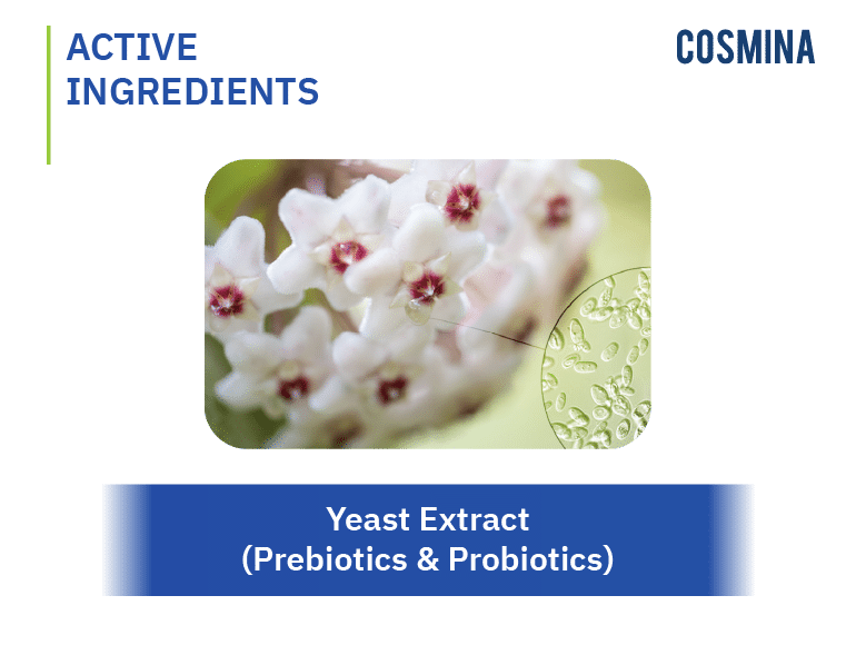 [:th]Yeast Extract (Prebiotics & Probiotics)[:en-us]Yeast Extract (Prebiotics & Probiotics)[:]