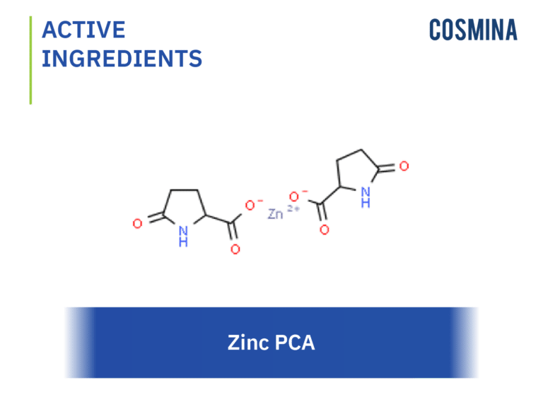Zinc PCA - COSMINA