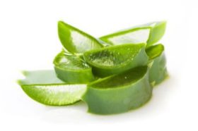 [:th]aloe vera[:en-us]aloe vera[:]