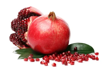 Punica Granatum