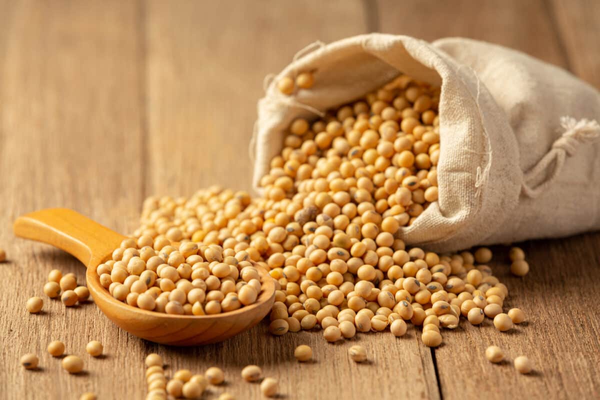 [:th]Hydrolyzed Soy Protein[:]