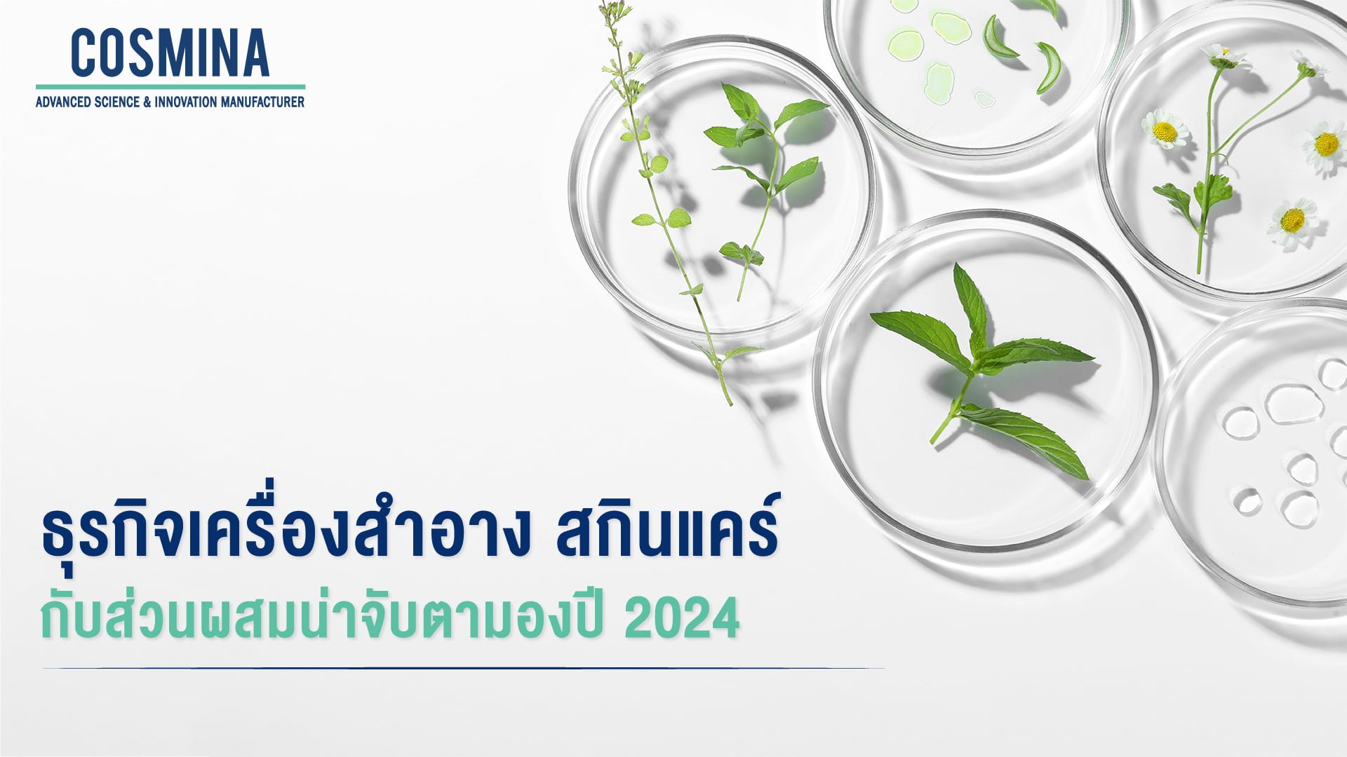 ธุรกิจเครื่องสำอาง และสกินแคร์ กับส่วนผสมที่น่าจับตามอง ในปี 2024