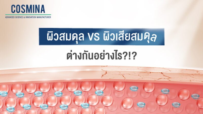 ผิวสมดุล vs ผิวเสียสมดุล